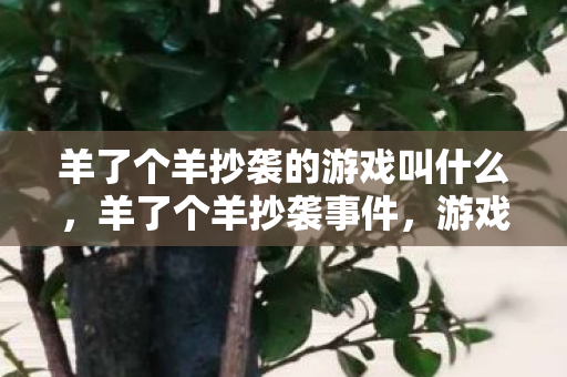 羊了个羊抄袭的游戏叫什么图片