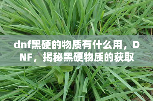 dnf黑硬的物质有什么用，DNF，揭秘黑硬物质的获取途径