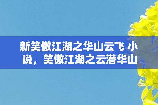 新笑傲江湖之华山云飞 小说，笑傲江湖之云潜华山