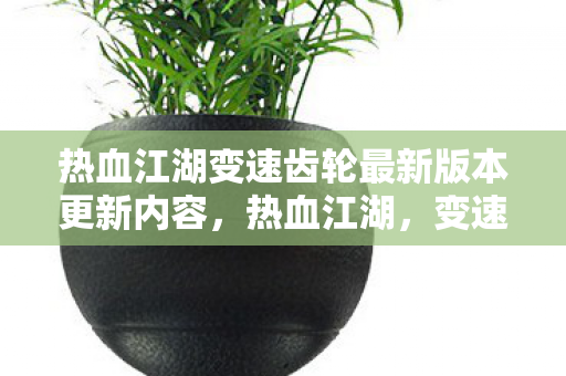 热血江湖变速齿轮最新版本更新内容，热血江湖，变速齿轮的奥秘与影响