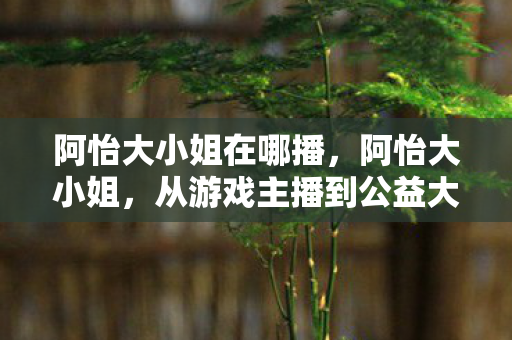 阿怡大小姐在哪播，阿怡大小姐，从游戏主播到公益大使的华丽蜕变