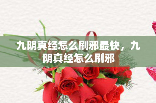 九阴真经怎么刷邪最快图片