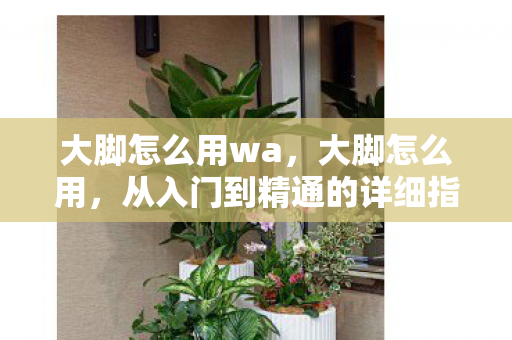 大脚怎么用wa，大脚怎么用，从入门到精通的详细指南