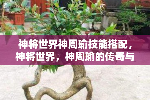 神将世界神周瑜技能搭配，神将世界，神周瑜的传奇与谜团