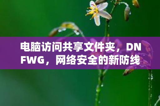 电脑访问共享文件夹，DNFWG，网络安全的新防线