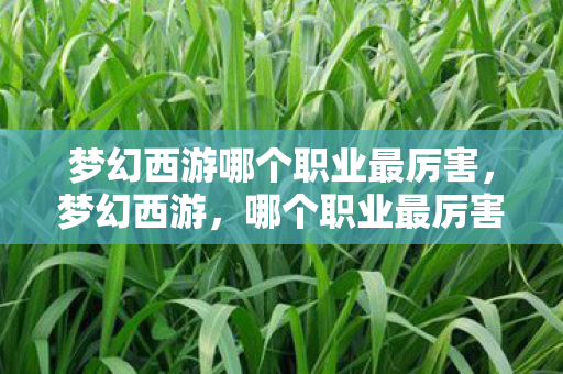 梦幻西游哪个职业最厉害，梦幻西游，哪个职业最厉害？