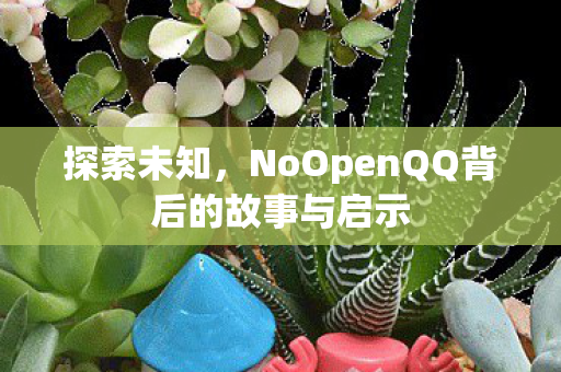 探索未知,NoOpenQQ背后的故事与启示 探索未知,NoOpenQQ背后的故事与启示