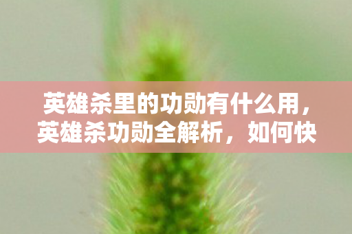 英雄杀里的功勋有什么用,英雄杀功勋全解析,如何快速提升与利用 英雄杀里的功勋有什么用,英雄杀功勋全解析,如何快速提升与利用