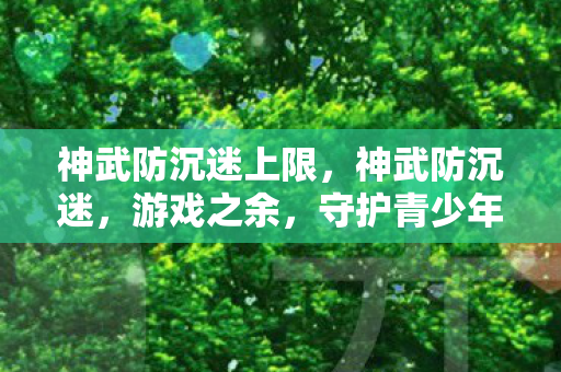 神武防沉迷上限，神武防沉迷，游戏之余，守护青少年成长