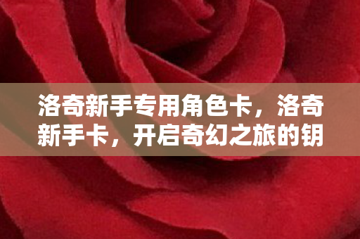 洛奇新手专用角色卡，洛奇新手卡，开启奇幻之旅的钥匙