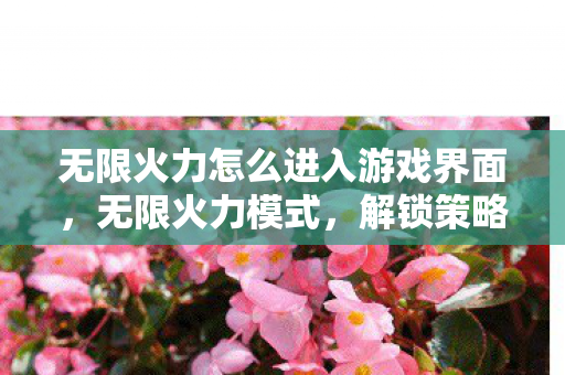 无限火力怎么进入游戏界面，无限火力模式，解锁策略与技巧