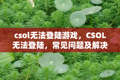 csol无法登陆游戏，CSOL无法登陆，常见问题及解决方案