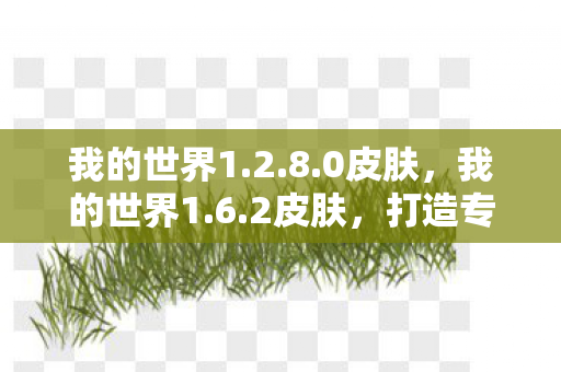 我的世界1.2.8.0皮肤,我的世界1.6.2皮肤,打造专属角色,探索无限可能 我的世界1.2.8.0皮肤,我的世界1.6.2皮肤,打造专属角色,探索无限可能