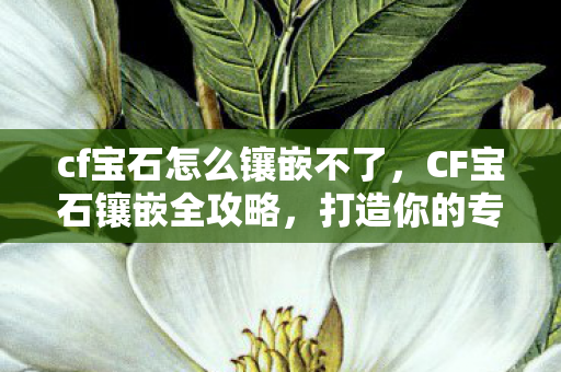 cf宝石怎么镶嵌不了,CF宝石镶嵌全攻略,打造你的专属武器 cf宝石怎么镶嵌不了,CF宝石镶嵌全攻略,打造你的专属武器