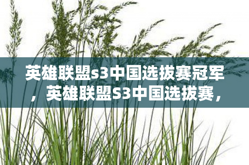 英雄联盟s3中国选拔赛冠军，英雄联盟S3中国选拔赛，战火重燃，谁将问鼎？