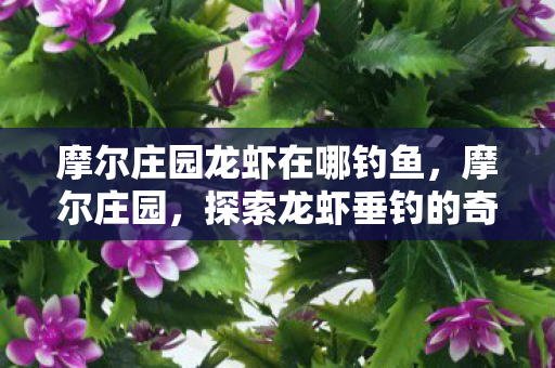 摩尔庄园龙虾在哪钓鱼，摩尔庄园，探索龙虾垂钓的奇妙之旅