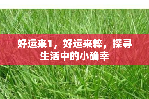 好运来1，好运来粹，探寻生活中的小确幸