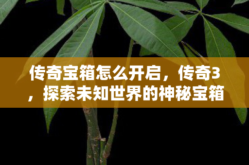 传奇宝箱怎么开启,传奇3,探索未知世界的神秘宝箱 传奇宝箱怎么开启,传奇3,探索未知世界的神秘宝箱