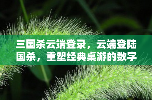 重塑经典桌游的数字时代新体验图片