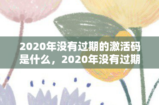 2020年没有过期的激活码是什么，2020年没有过期的激活码，解锁数字时代的珍贵记忆