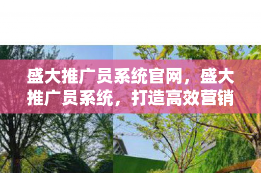 盛大推广员系统官网，盛大推广员系统，打造高效营销生态的秘诀