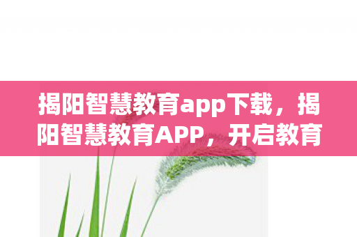 揭阳智慧教育app下载，揭阳智慧教育APP，开启教育新篇章