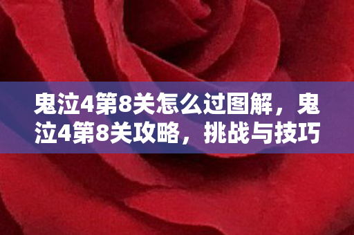 鬼泣4第8关怎么过图解，鬼泣4第8关攻略，挑战与技巧