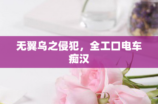 无翼乌之侵犯，全工口电车痴汉