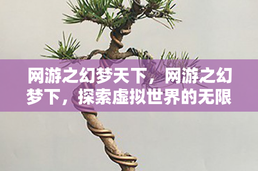 网游之幻梦天下，网游之幻梦下，探索虚拟世界的无限可能