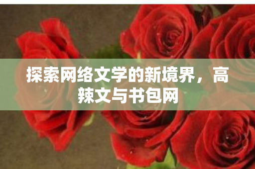 探索网络文学的新境界，高辣文与书包网