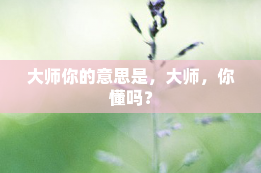 大师你的意思是，大师，你懂吗？