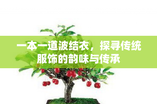 一本一道波结衣，探寻传统服饰的韵味与传承