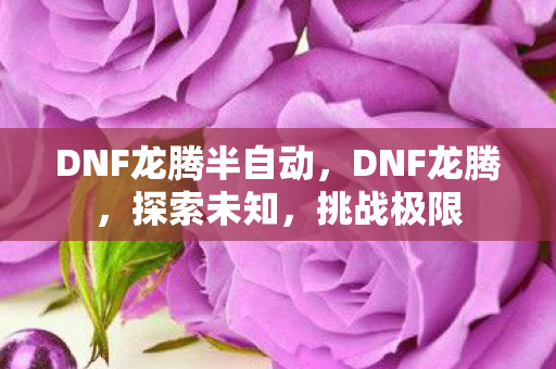 DNF龙腾半自动图片