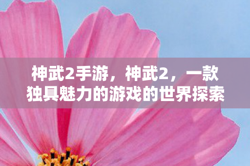 神武2手游，神武2，一款独具魅力的游戏的世界探索