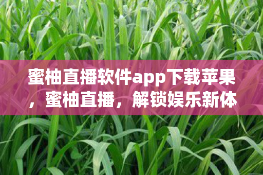 蜜柚直播软件app下载苹果，蜜柚直播，解锁娱乐新体验，尽享高清直播盛宴