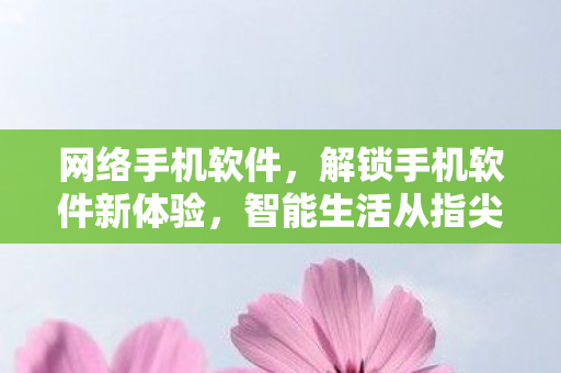 网络手机软件，解锁手机软件新体验，智能生活从指尖开始