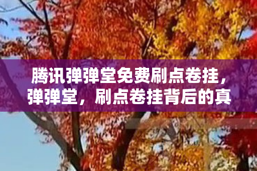 腾讯弹弹堂免费刷点卷挂,弹弹堂,刷点卷挂背后的真相与风险 腾讯弹弹堂免费刷点卷挂,弹弹堂,刷点卷挂背后的真相与风险