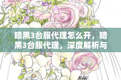 暗黑3台服代理怎么开,暗黑3台服代理,深度解析与玩家指南 暗黑3台服代理怎么开,暗黑3台服代理,深度解析与玩家指南