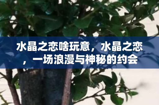 一场浪漫与神秘的约会图片