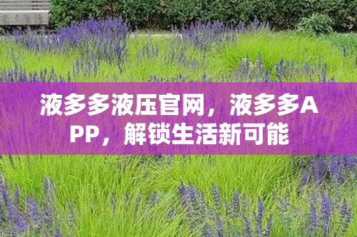 液多多液压官网图片