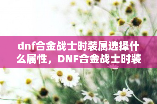dnf合金战士时装属选择什么属性图片