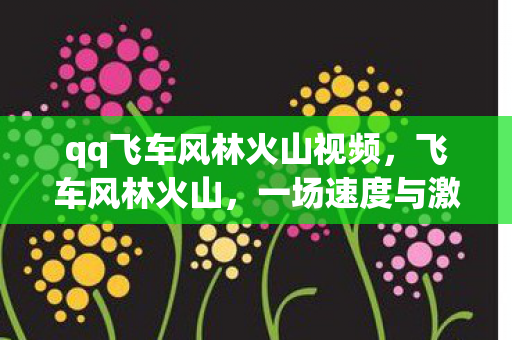 一场速度与激情的传奇之旅图片