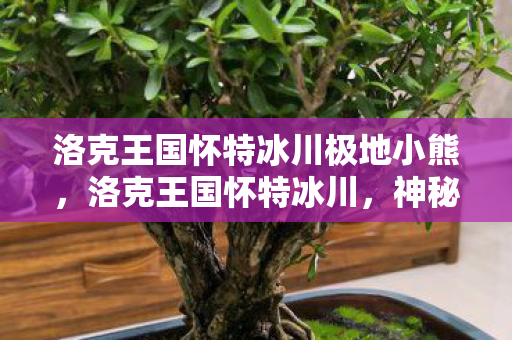 洛克王国怀特冰川极地小熊图片