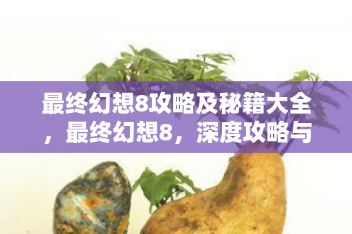 最终幻想8攻略及秘籍大全图片