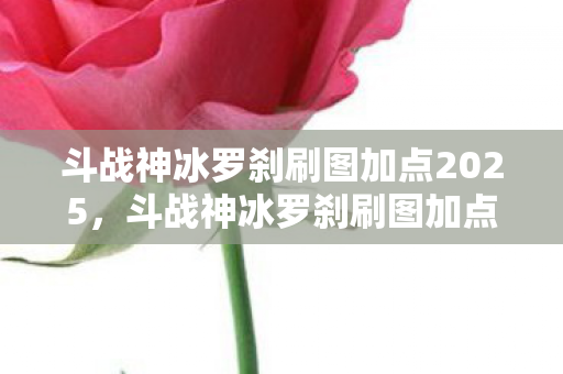 斗战神冰罗刹刷图加点2025图片