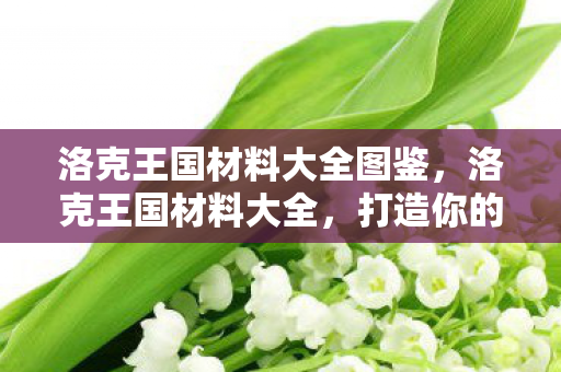 洛克王国材料大全图鉴图片