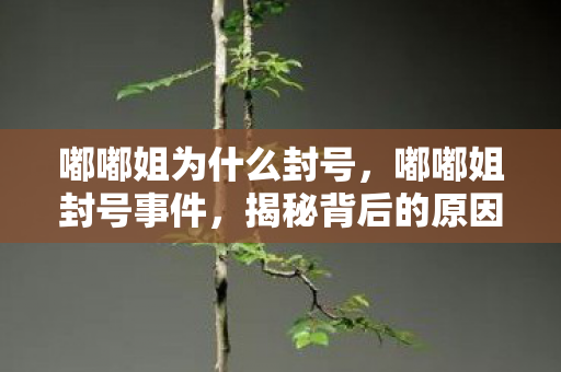 嘟嘟姐为什么封号图片