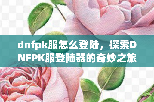 探索DNFPK服登陆器的奇妙之旅图片