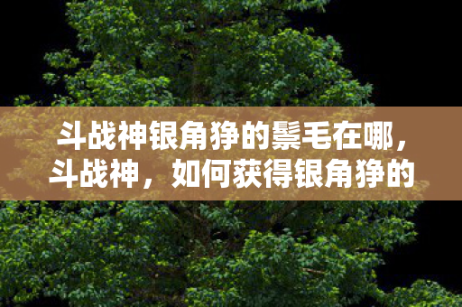斗战神银角狰的鬃毛在哪图片
