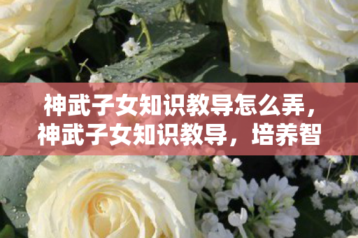 神武子女知识教导怎么弄，神武子女知识教导，培养智慧之芽，引领未来之路